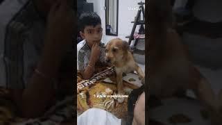 Mi perrito️