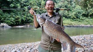 SUPER‼️FIGHT WITH MONSTER MAHSEER KAPUAS HULU