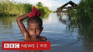 氣候變化如何加劇貧富懸殊？－ BBC News 中文