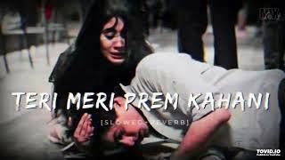 Teri Meri Prem Kahani | [Slowed+Reverb] | MixLofiMusic.06|@tseries  @IndianSlowedAndReverb