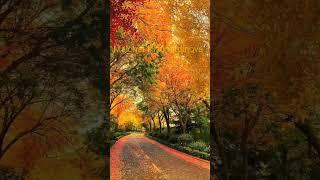 Sevgi haqida sher "Sevgi" #sherlar #sher #sevgi #hayot #baxt #yor #soginch