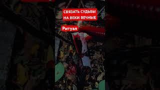 ПРИВОРОТСВЯЗАТЬ СУДЬБЫ ВМЕСТЕ️РИТУАЛ