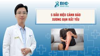 5 DẤU HIỆU CẢNH BÁO XƯƠNG BẠN RẤT YẾU | BIC NANO CELL - BS KA LÓL