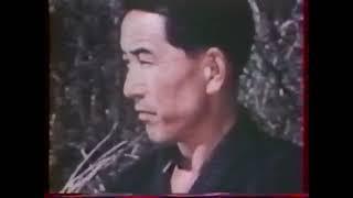 Japan Budo Martial Arts Documentary