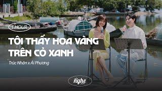 Tôi Thấy Hoa Vàng Trên Cỏ Xanh - Trúc Nhân x Ái Phương | 1 HOUR LOOP