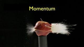 What Is Momentum?