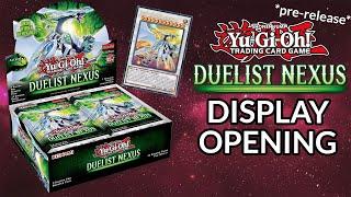 YU-GI-OH! DUELIST NEXUS DISPLAY OPENING!