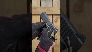 Para Ordnance  WARTHOG Manipulation: Double Stack 45 ACP Handgun