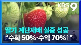 딸기 계단재배 실증 성공…“수확 50%·수익 70%↑” / KBS  2023.08.12.