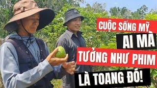 Cảnh Báo: Cuộc Sống Mỹ không như PHIM mà bạn xem đâu nhé!