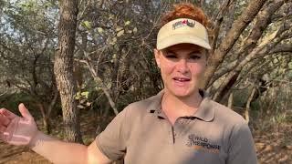 Celebrating Women in Conservation - Anna Mussi