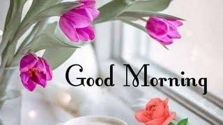 Good Morning//good Morning wishes//good Morning Videos Status. plsDoSubscribe @smiling Thulasi.keep