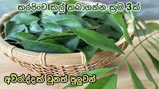 කරපිංච කල් තියාගන්න ක්‍රම 3ක් | how to store curry leaves fresh | Maali’s kitchen jp