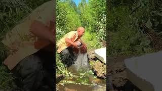 Best Unique Fish Trap Using PVC And Net Basket To Catch A Lot of Fish#shorts #viral #fishing