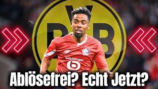 BVB: HEUTE BESTÄTIGT! DAMIT HAT DER BVB ALLE ÜBERRASCHT! BORUSSIA DORTMUND-NEWS HEUTE!