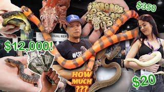 How much are The BEST ANIMALS  at the Daytona Reptile Show