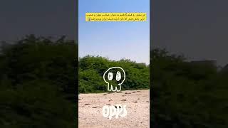 ولاگ سفر : جزیره کیش بخش غرب جزیره و عجایب...#عجایب_جهان