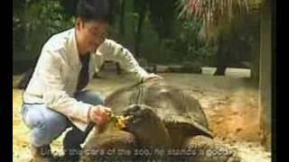 Asian Conservation Awareness Programme Showreel