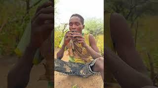 Hadzabe Tribe enjoy eating food they find in the bush