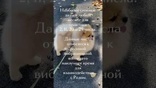 2, 11, 20 и 29 данные числа относятся к родовой вибрационной волне #psychology #energy #shorts #РОД