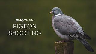 ShotKam Gen 4: Pigeon Shooting Over Decoys in the UK