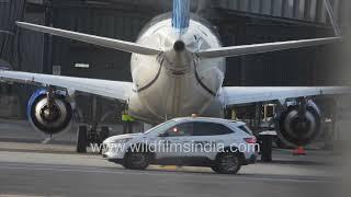 United Airlines planes readied to fly: Washington DC Dulles airport, towed in reverse to taxi off