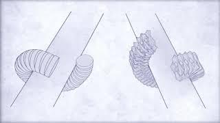 ANIMALS UNIQUE  CHARACTERISTICS & BEHAVIOR WAS IT DNA DESIGNED?