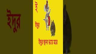 বাংলা স্বরবর্ণ শেখার সহজ ভিডিও অ আ ই ঈ উ ঊ ঋ এ ঐ ও ঔ এসো বাংলা শিখি bangla Bornomala @SkyMoontvs