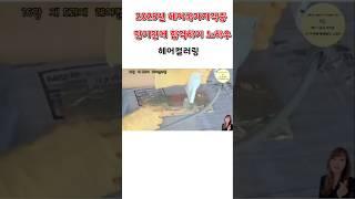 헤어컬러링- 열처리하기 2025년 헤어국가자격증 단 기간에 합격하기 노하우  #헤어국가자격증 #헤어미용 #헤어컬러링