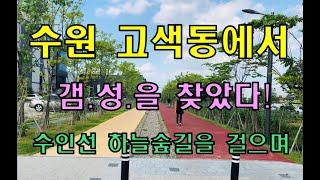 수원 고색동의 '갬성로드' 수인선 하늘숲길을 걷다 (미래 재개발 지역?)