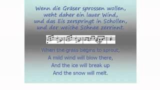Schubert - Winterreise - Wasserflut  - Barry McDaniel & Aribert Reimann