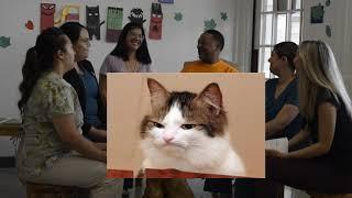 TMJ Series - Part 2