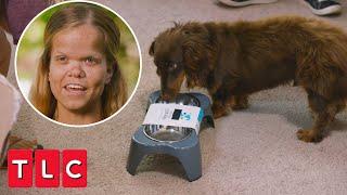 Anna Decorates a Room For Her Dog Cruiser! | 7 Little Johnstons