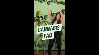 Cannabis-Legalisierung FAQ