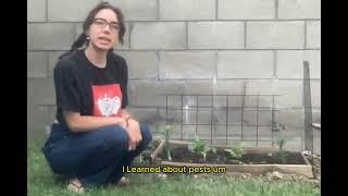 Farmer Training Program Testimonial - Naoko Ward