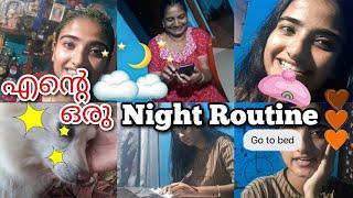 ഒരു വൈകുനേരം അപാരത കണ്ടാലോ | Night Routine | Aleena's Diaries