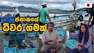 හිත පිරෙන්න කන්න මාළු නොමිලේ | FISHING VILLAGE IN JAPAN | Hithumathe JAPAN |4K