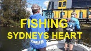 Fishing the Heart of Sydney COOKS RIVER | The Hook and The Cook
