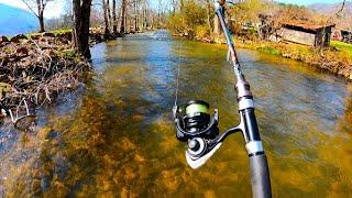 Trout Fishing with Jerkbaits, Inline Spinner's *browns, rainbows *