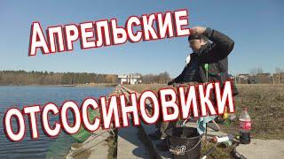 БЛУДНЫЙ КОТ - Апрельские Отсосиновики на Дроздах