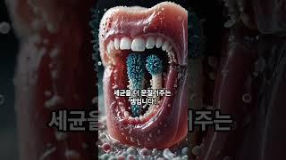 양치 전에 물로 헹궈야 하는 이유