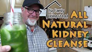 Natural Kidney Cleanse Drink RAW