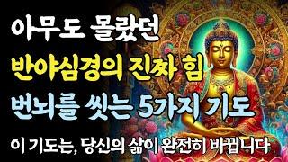 반야심경을 매일 염송했더니, 내 인생에 일어난 5가지 기적ㅣ부처님 말씀ㅣ불교 명언