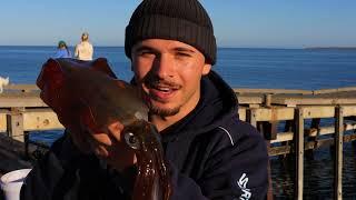 Hunt for the Yellow Tail! Fishing Yorke Peninsula, South Australia