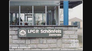 LPG Pflanzenproduktion Schönfels DVD Nr.29 ( Filmausschnitt )