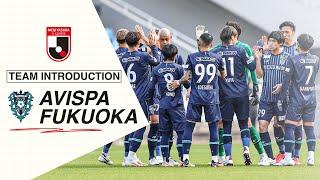 A Taste of Avispa Fukuoka: 2023 Meiji Yasuda J1 League Highlights