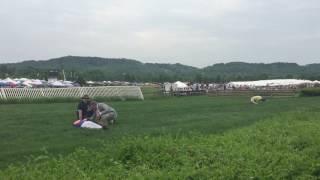 Jockeys injured in fall at Steeplechase