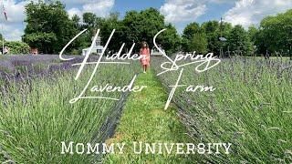 Hidden Spring Lavender Farm in Skillman NJ