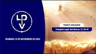 Evangelio del día domingo 10 de noviembre de 2024, Cardenal Daniel Sturla (Arzobispo de Montevideo)