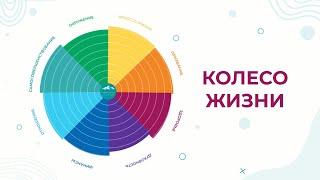 Колесо жизни